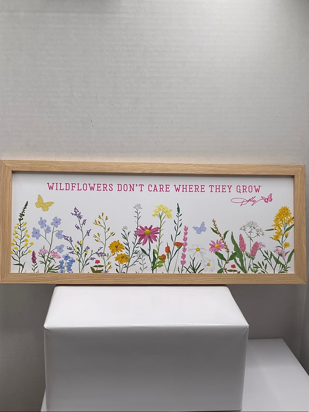 Dolly Wildflowers Don’t Care Where They Grow Framed Wall Art - Pink & Multicolor